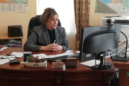 Посланик Иванова проведе онлайн среща с председателя на Комисията по външна политика на парламента на Грузия